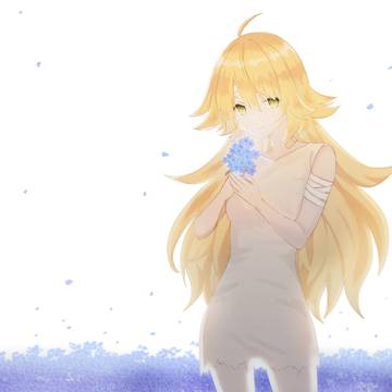 シノグロッサムの花