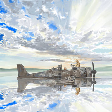 雨上がりの水たまりに浮かぶ朽ちた戦闘機の上で佇む猫