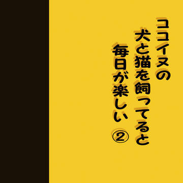 此処から始まる青春4 ココイヌ小説新刊①