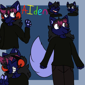 Aiden