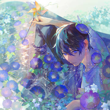 朝顔の雫