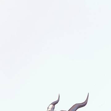 又一张