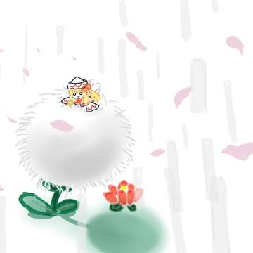莉莉与白又大