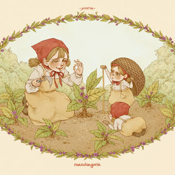 Mandragora