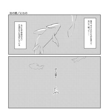 池の鯉