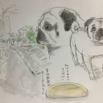 お絵描きです！