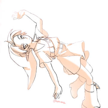 zld詰め