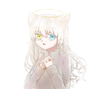 天使とオッドアイと猫耳