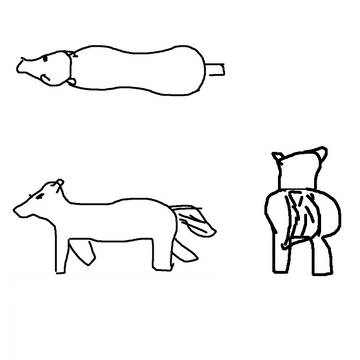 馬の三面図