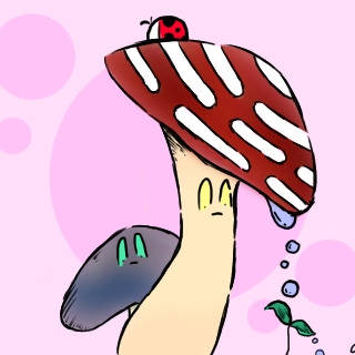 きのこ
