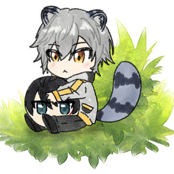 Raccoon Caelus