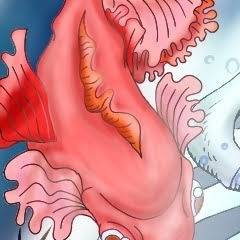 海のイラスト
