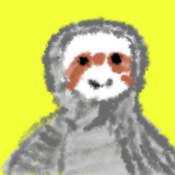 Cute sloth