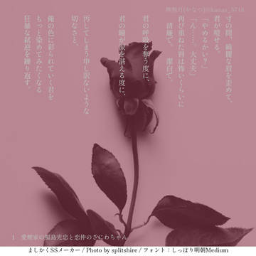 愛煙家の福島光忠と恋仲の審神者ちゃん