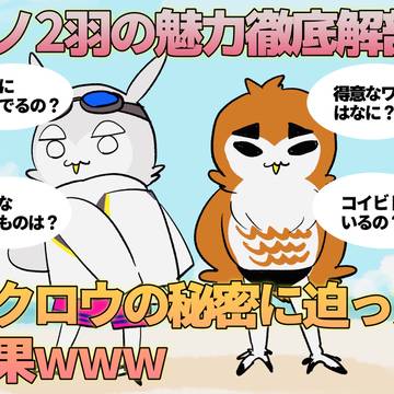 ふくろうのみりょく
