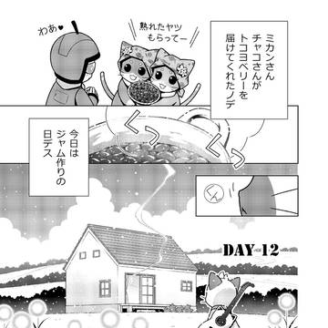 day12【カクリヨ暮らしはネコマタノ里で】