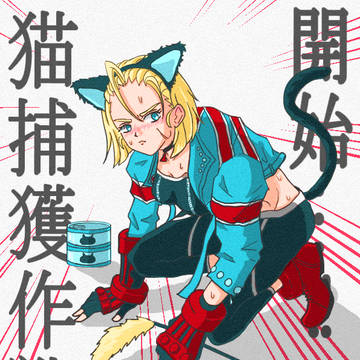 猫捕獲作戦、開始！