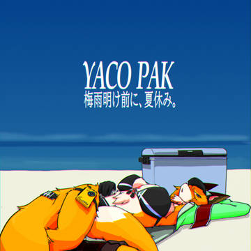 ヤコパック'95