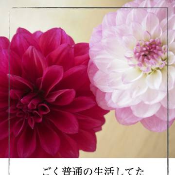 【終了】部数アンケートとサンプル