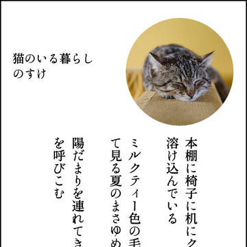 短歌まとめ 1