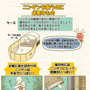 【ニンゲンの飼い方】ケース編