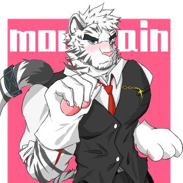 猫猫