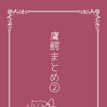 鷹鰐まとめ②