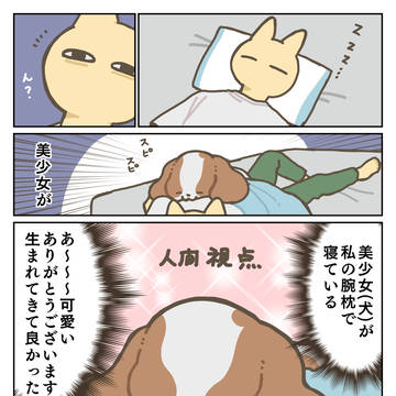 犬なら腕の中で寝てるぜ