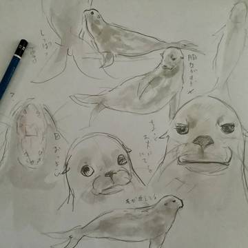 全然絵を描いていないので練習‼️