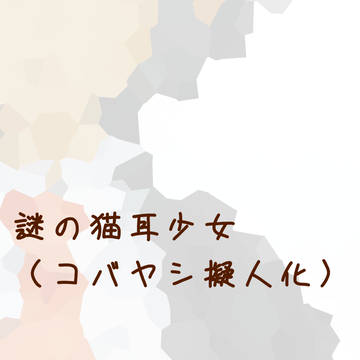 謎の猫耳少女