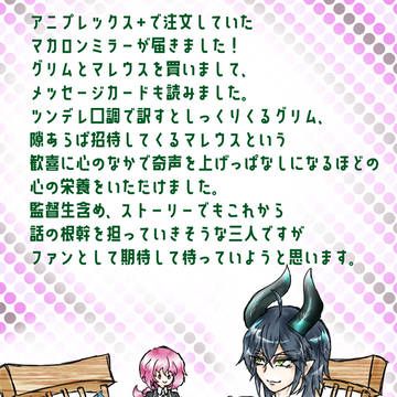マカロンミラーが届きました