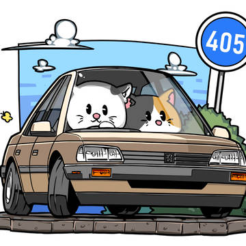 Peugeot 405