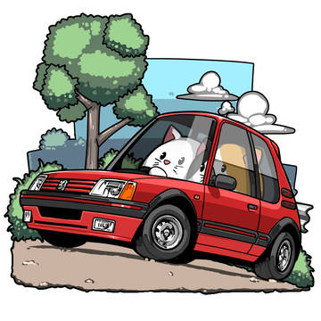 Peugeot 205