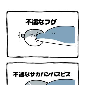 no.2051 『 不遇なサカバンバスピス 』