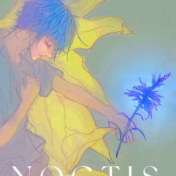good night，noctis.