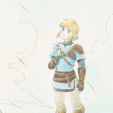 To Princess Zelda
