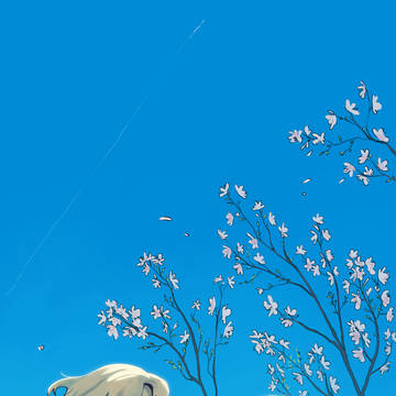 カリスマ
