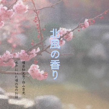 北風の香り(小説)