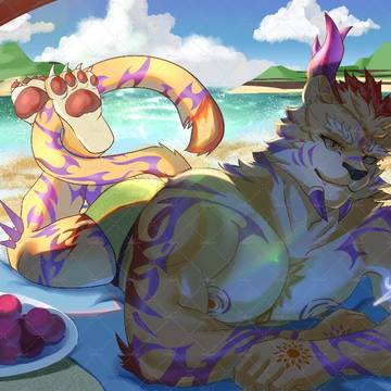 猫猫龙