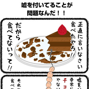 嘘を付いてることが問題なんだ！！