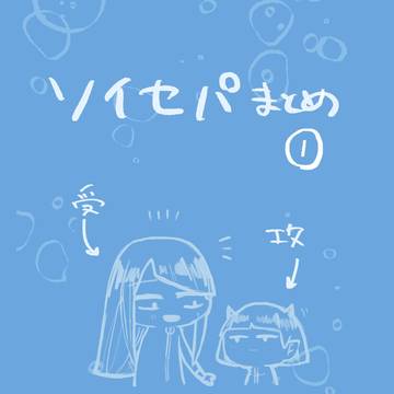 ソイセパまとめ①