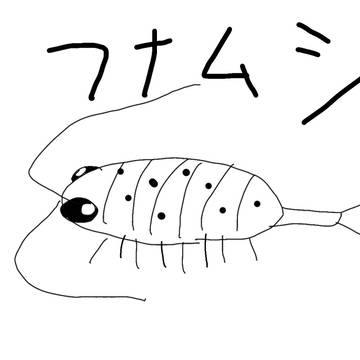 フナムシ