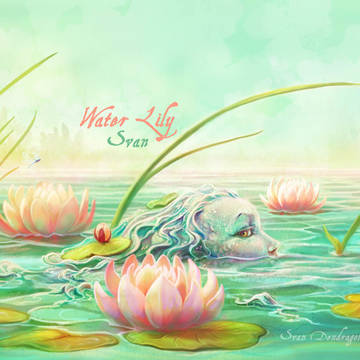 Water Lily