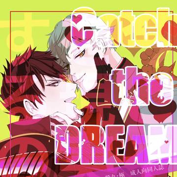 Catch the DREAM 2213