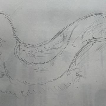 ニワトリモドキ