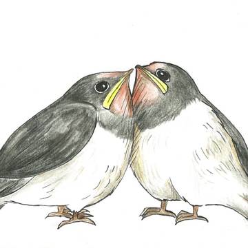 きょうだい　2