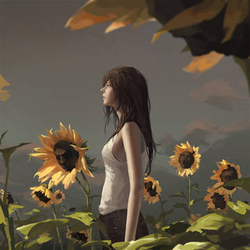 sunflower
