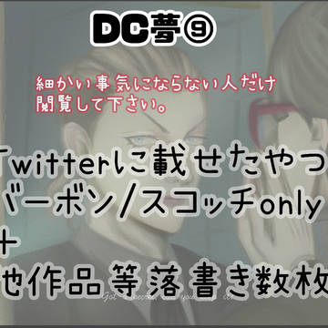 DC夢⑨