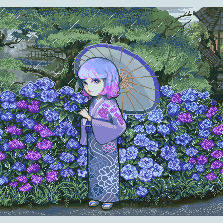 紫陽花