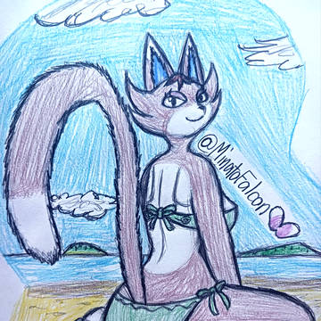 Swimsuit Kitty!